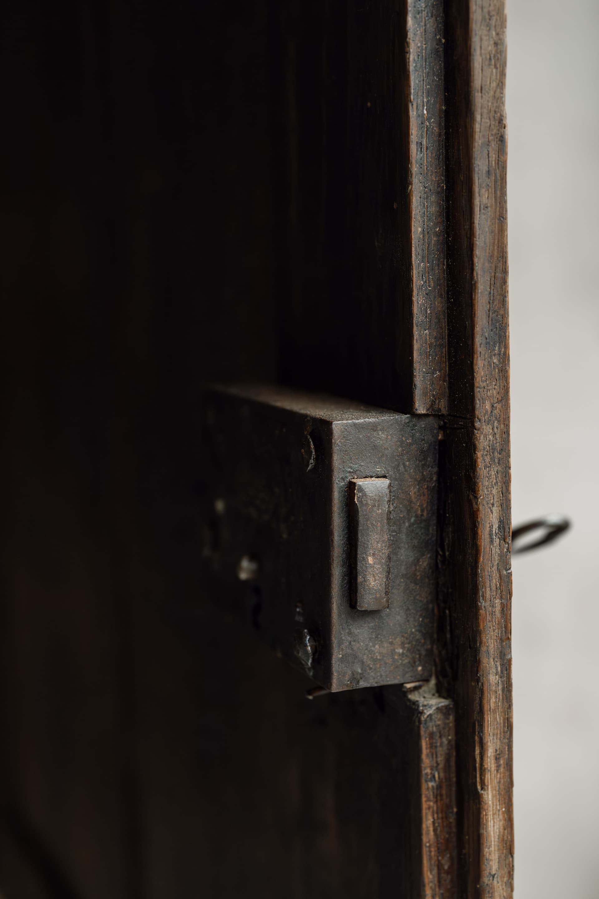A Huge 19th Century French Oak Cupboard